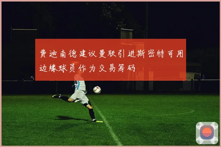 费迪南德建议曼联引进斯密特可用边缘球员作为交易筹码
